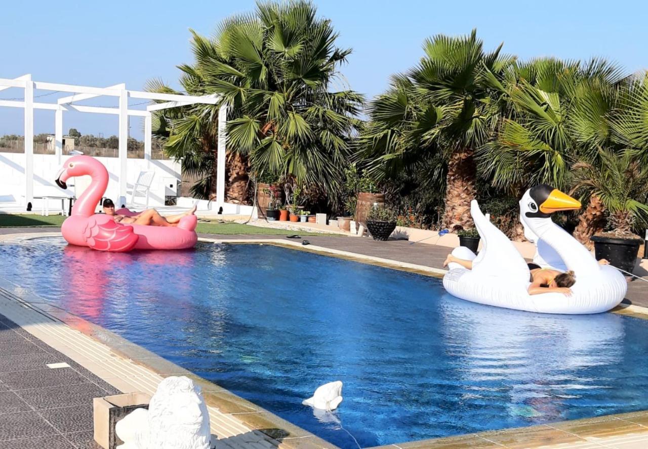 The Pervoli Studio - Pool - Close To Beach Ларнака Екстериор снимка
