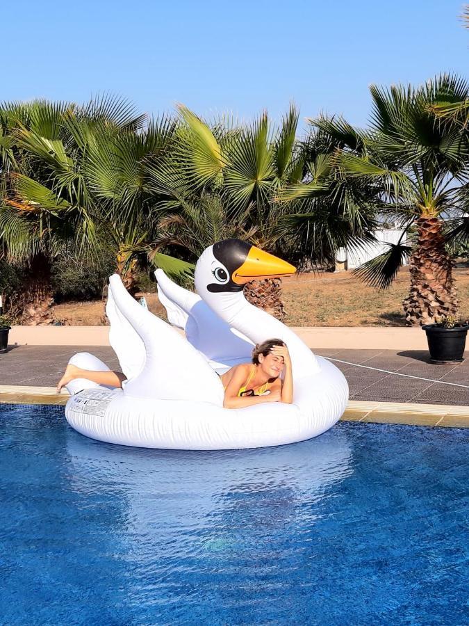 The Pervoli Studio - Pool - Close To Beach Ларнака Екстериор снимка